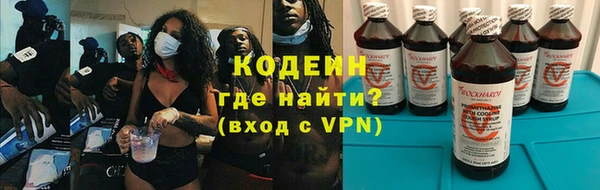 индика Белокуриха