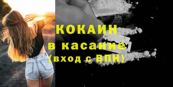 индика Белокуриха