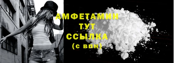 индика Белокуриха