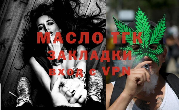индика Белокуриха