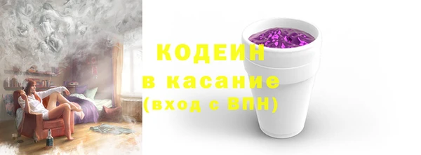 индика Белокуриха