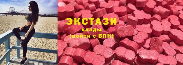 индика Белокуриха