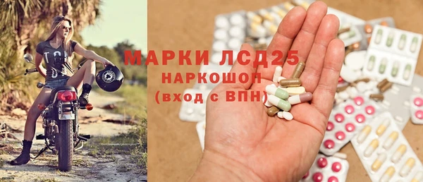 индика Белокуриха