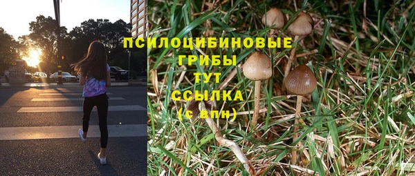 винт Беломорск