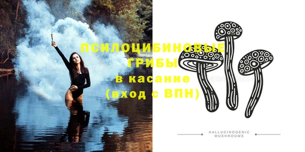 индика Белокуриха