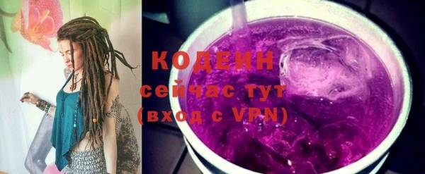 индика Белокуриха