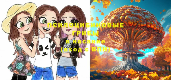индика Белокуриха